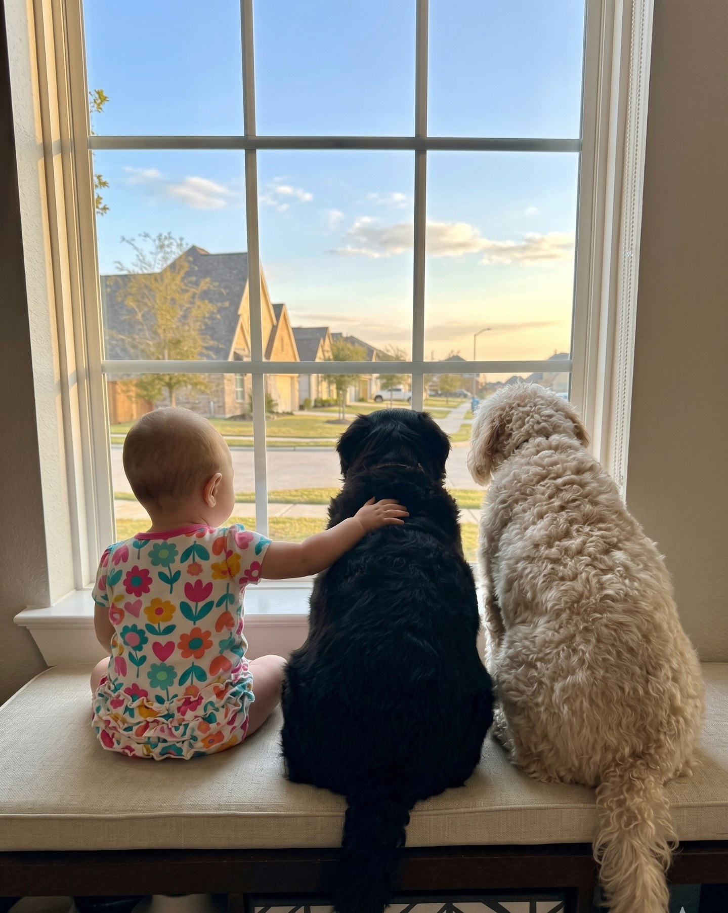 A baby and two rescue dogs sitting together at a window watching the sunset